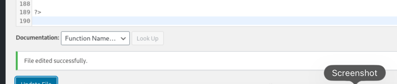 WordPress Theme Editor showing File Updated confirmation after saving 404.php